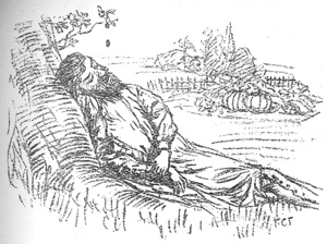 Acorn falling from tree.