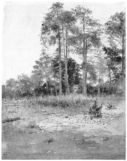 In the Highlands of the Sierra.