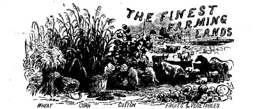 Finest Farming Lands