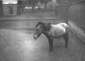 [Image unavailable.]