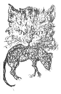 cat with rat in its mouth