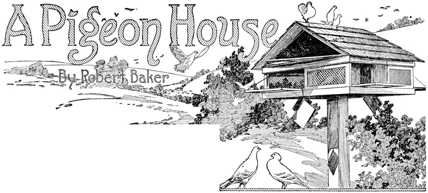 A Pigeon House By Robert Baker Chapter heading: pigeon house with pigeons