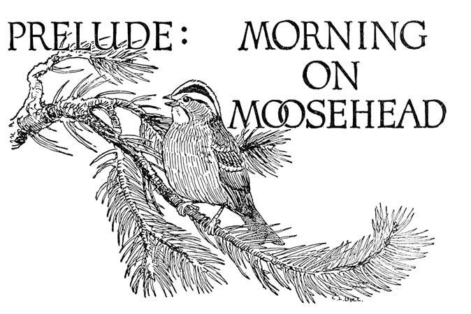 PRELUDE: MORNING ON MOOSEHEAD