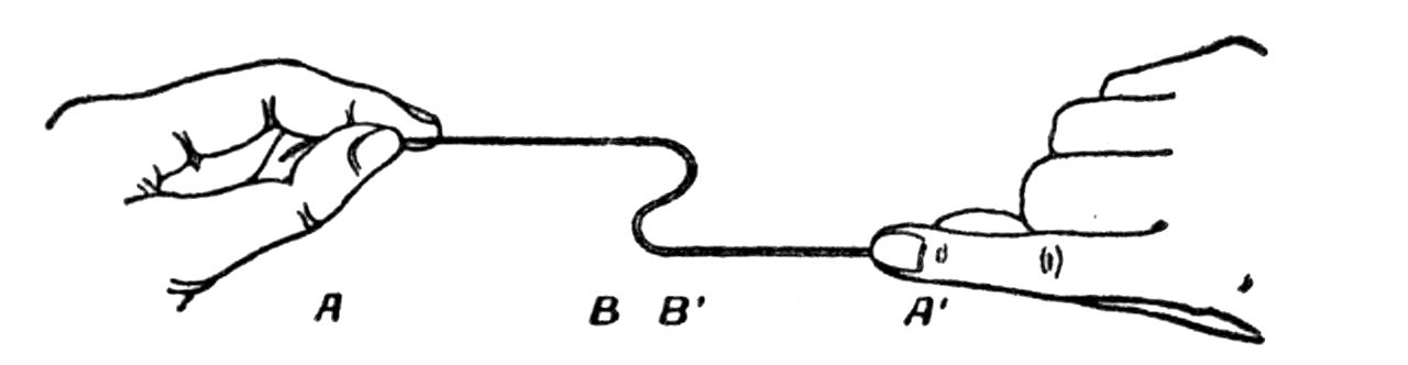 A string displayed in two dimensions.