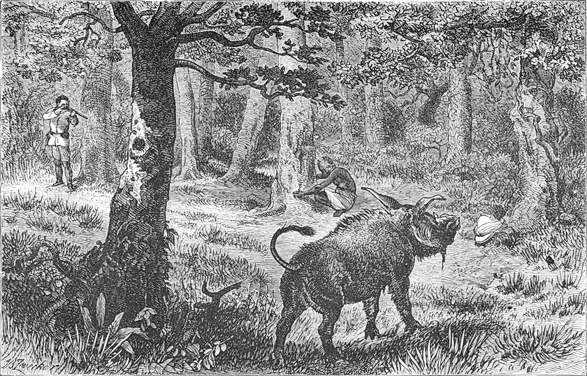 Der Autor schießt im
  Wald auf einen Eber