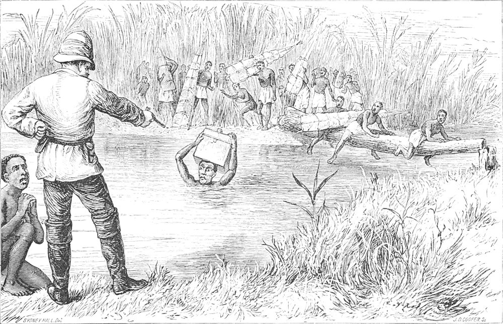 Livingstones
  Aufzeichnungen in Gefahr