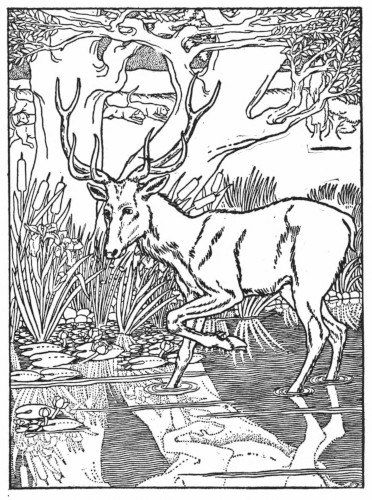 Title or description