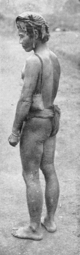 Träger, von schräg hinten
  gesehen