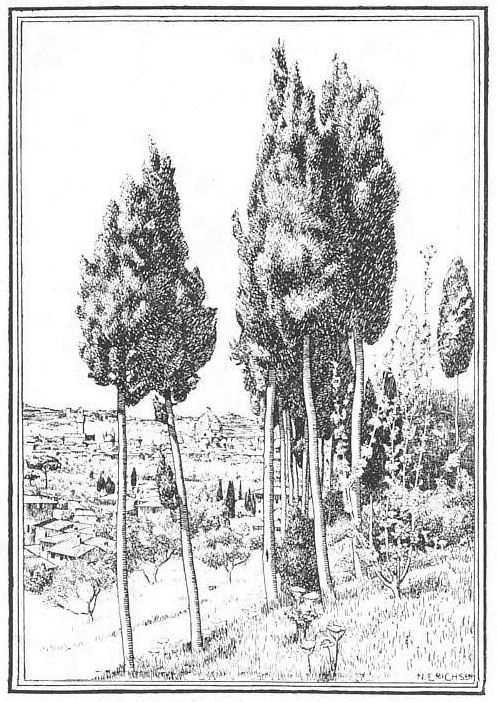 View of Florence from the Cypress Trees of Poggio Gherardo