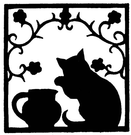 Cat sitting next to a pitcher