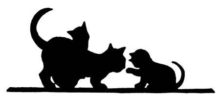 Sally and her kittens